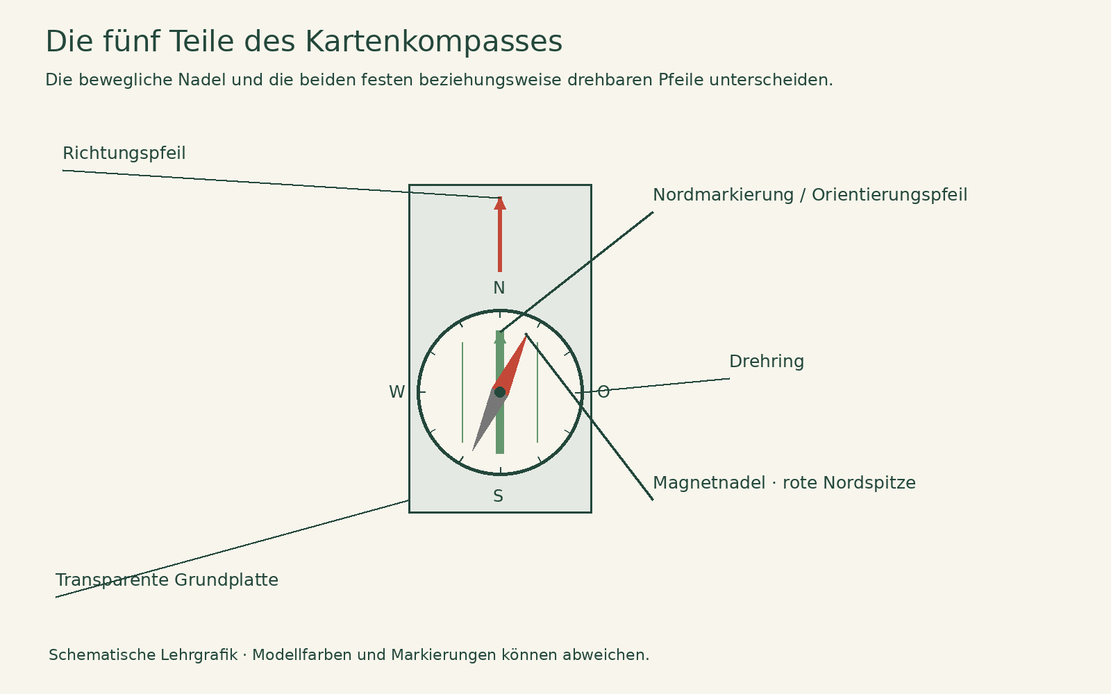 Beschrifteter Kartenkompass mit Magnetnadel, Drehring, Nordmarkierung und Orientierungspfeil, festem Richtungspfeil und transparenter Grundplatte.