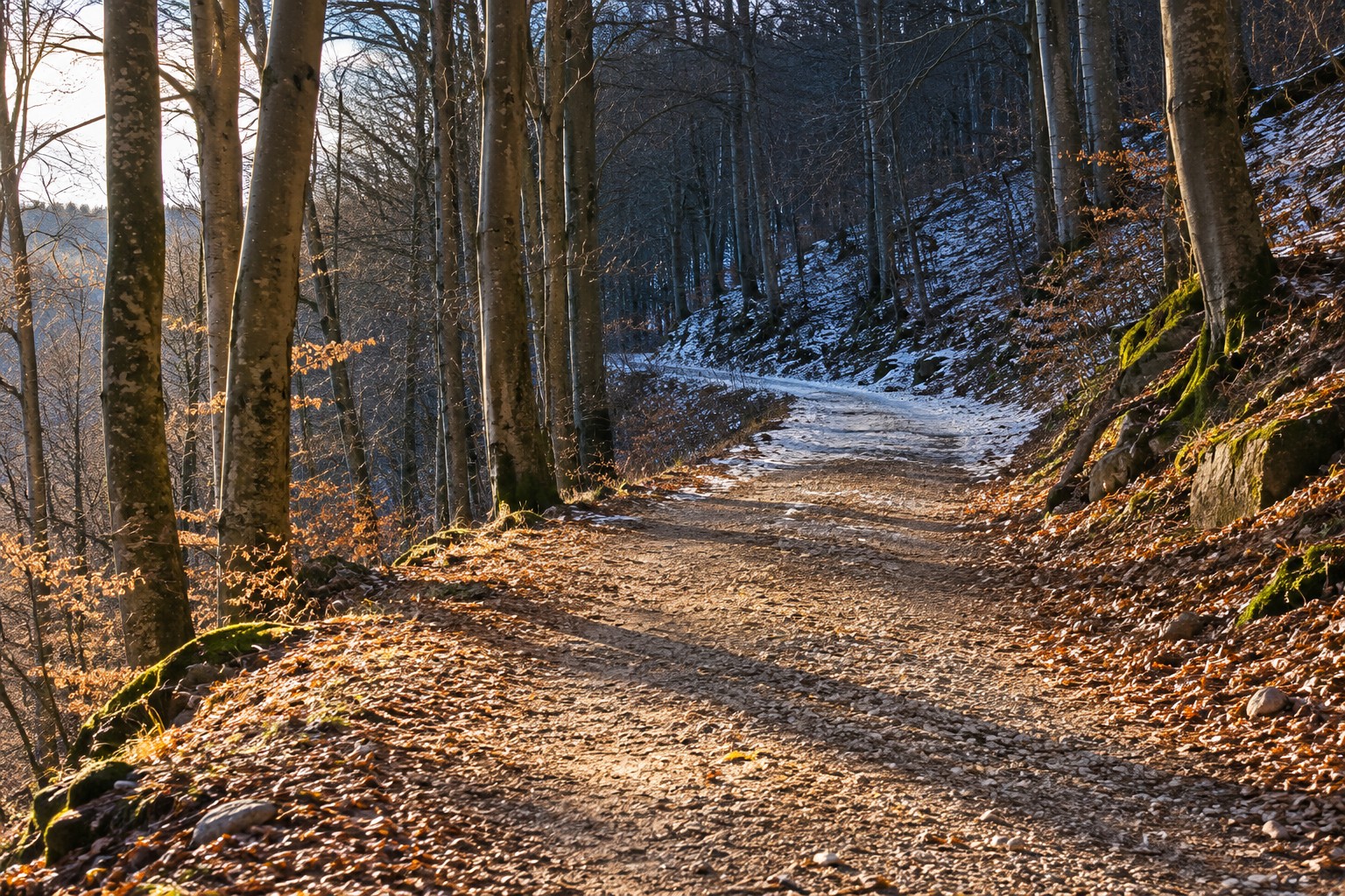 Sonniger schneefreier Waldweg, der weiter hinten in einen schattigen Abschnitt mit Schnee und Eis führt